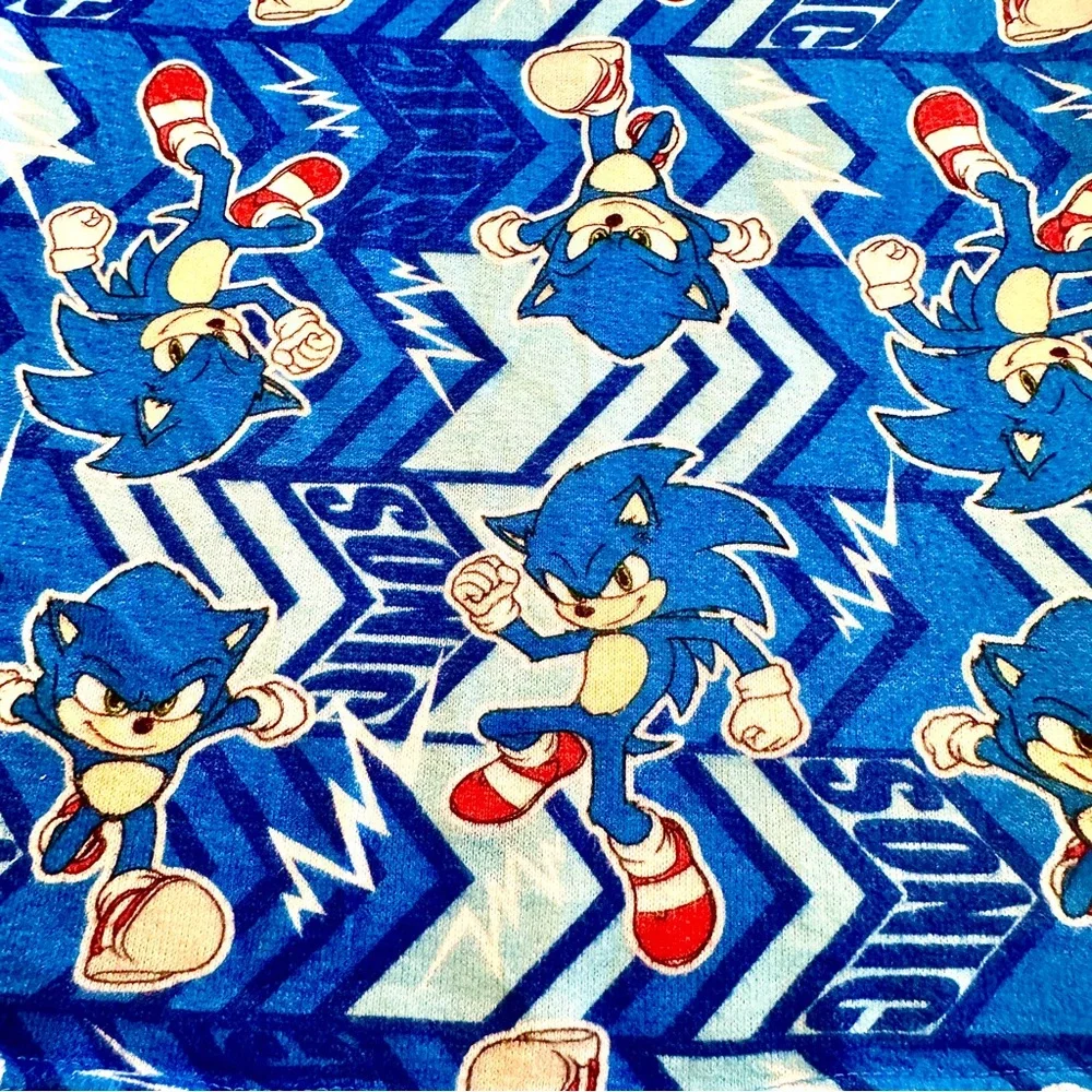 Sonic The Hedgehog kids sonic